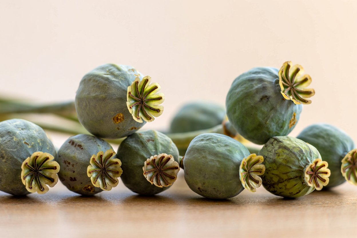 Врач проводит консультацию